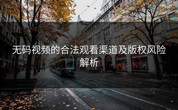 无码视频的合法观看渠道及版权风险解析 无码视频的合法观看渠道及版权风险解析