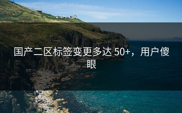 国产二区标签变更多达 50+，用户傻眼