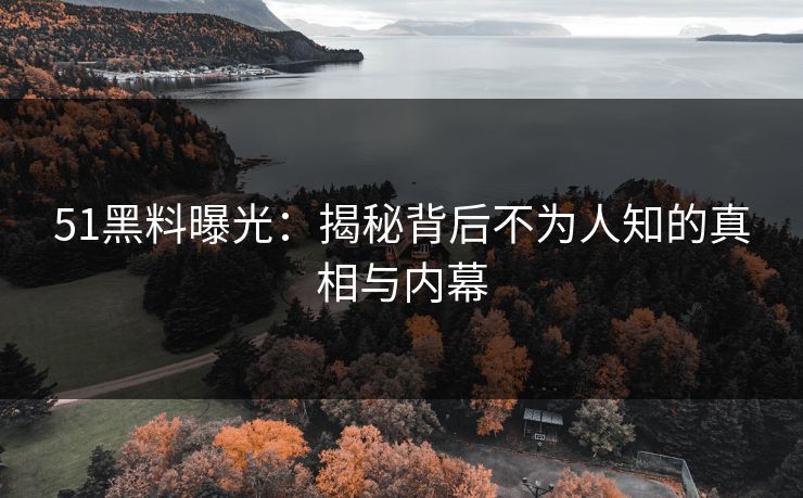 51黑料曝光：揭秘背后不为人知的真相与内幕