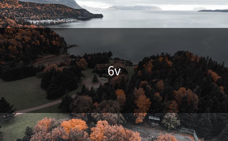 6v