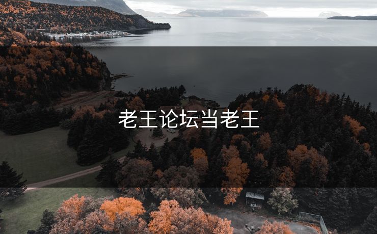 老王论坛当老王