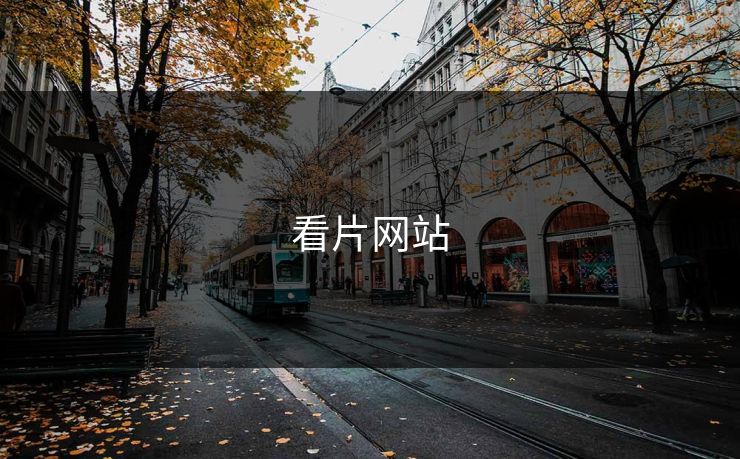 看片网站